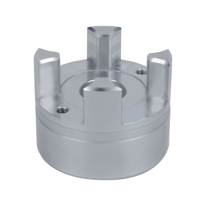 Accouplement pour Barmag